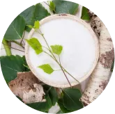 Phytomem One™ Xylitol